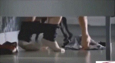 网传的311事件指什么，原来是几段BT的小视频(非常恶心)