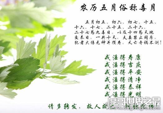 九毒日是真的吗，端午是九毒日严禁杀生和行房(乃民间迷信说法)