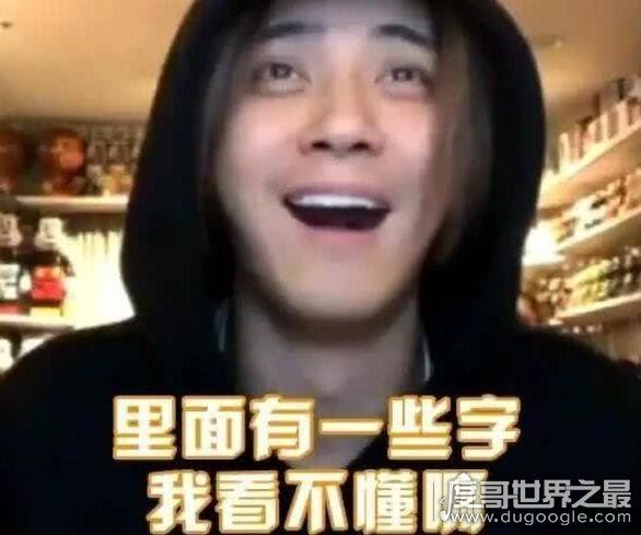 生僻字歌词是什么意思,让你轻松产出生僻字(完整拼音加注解)