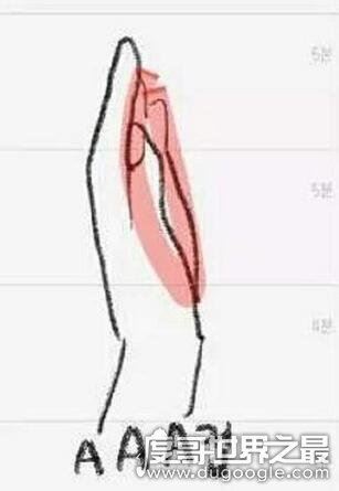 女生怎么用手判断自己多大罩杯，教你徒手测量胸部罩杯大小