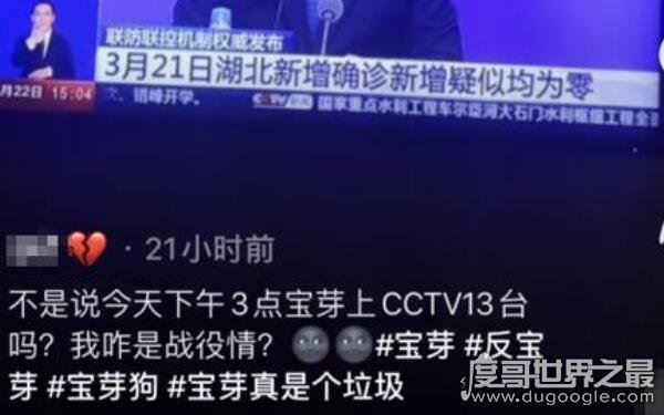 抖音宝芽全部资料，抖音宝芽怎么了（专黑明星）