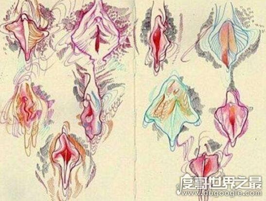 魏吉娜是什么意思,世界最强魏吉娜夹起30斤重物