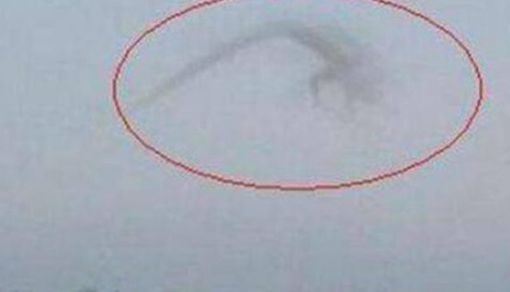 卫星拍到的真龙凤凰，身上的龙鳞看得一清二楚