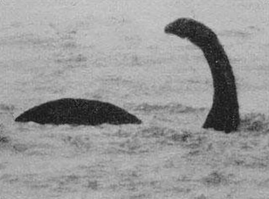 世界上十大不明生物盘点，美人鱼可能在世界上真实存在