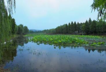 太湖冤魂事件完整版，发生在七十年代（诡异）