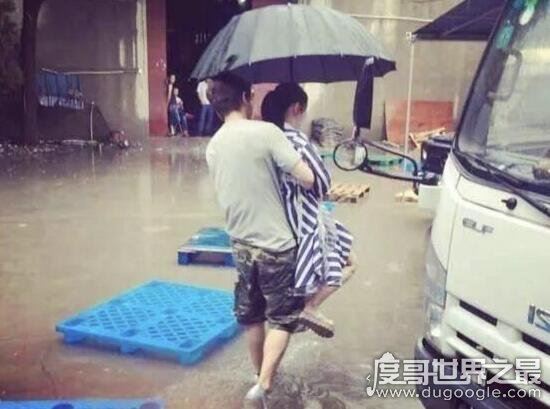 贾乃亮李小璐被曝离婚了吗，贾乃亮忍气吞声选择原谅