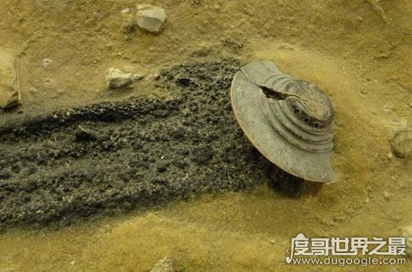 揭秘美国51区真相，不敢承认的事实(外星人已经来了)