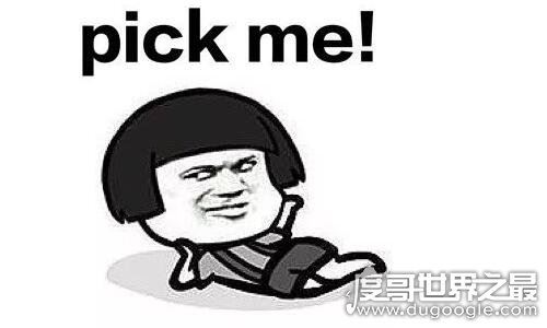 pick什么意思，原意是挑选、选择(之后因偶像练习生而走红)