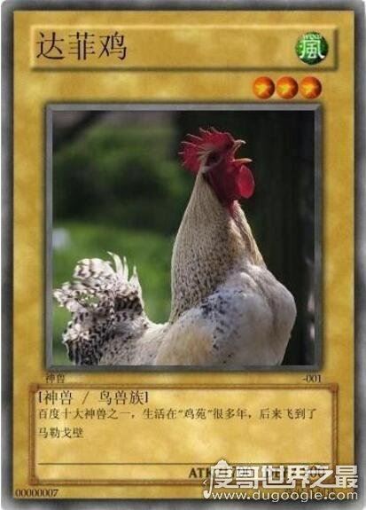 草泥马是什么?就是指羊驼(乃中国网络十大神兽之一)