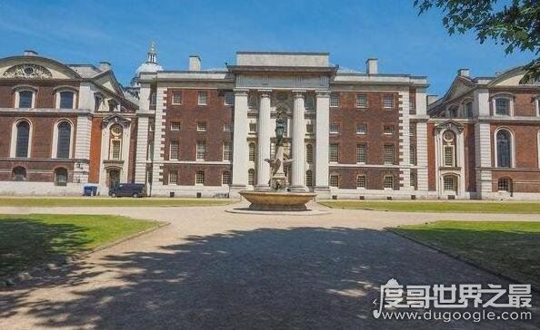 胸痛大学不是高校，实际上就是一个学术组织