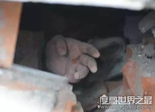 汶川地震不敢公开照片，每一长都让人看了非常难过