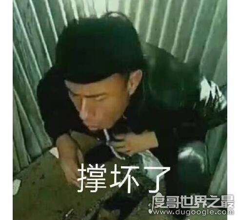 岛市老八吃奥利给视频原版,自称吃的是假粑粑(恶心慎入)