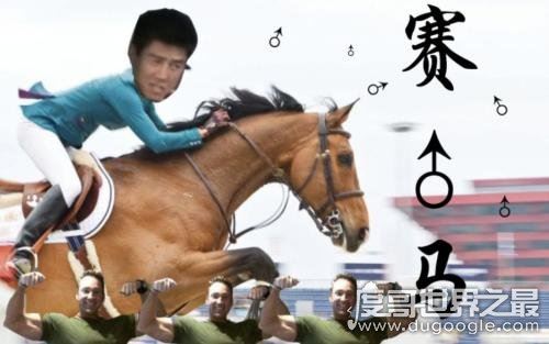 网络♂是什么意思，主要是指男性(植物学代指两性的花卉)