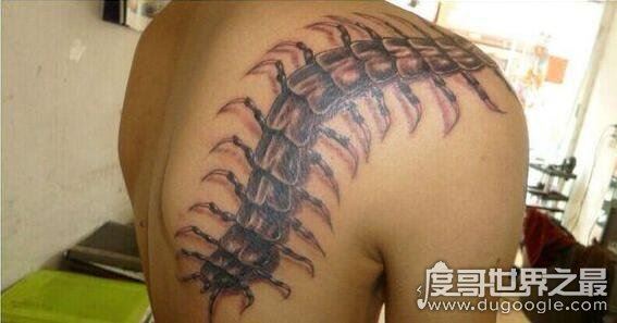中国十大不能纹的纹身，纹两条过肩龙的人都活不过40岁