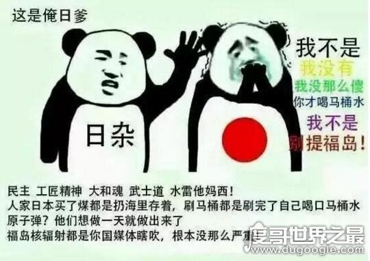 精日是什么意思，精日分子是精神入籍日本仇视中国的种族败类