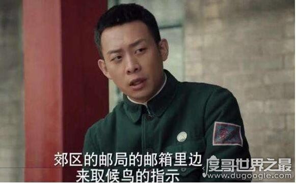 光荣时代候鸟是谁，候鸟是一群人而不是单指某人(候鸟身份分析)