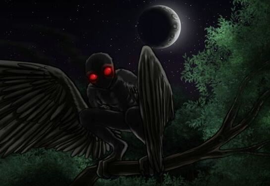 神秘生物鸮人目击事件，揭开鸮人的真实面目