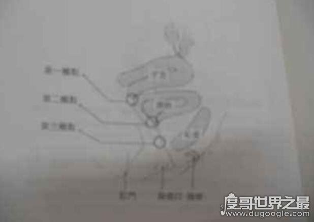 日本第一男优加藤鹰，加藤鹰之手让女人欲罢不能(附教程)