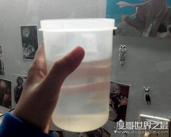 一个人的捉迷藏游戏玩法详解，千万不要一个人尝试