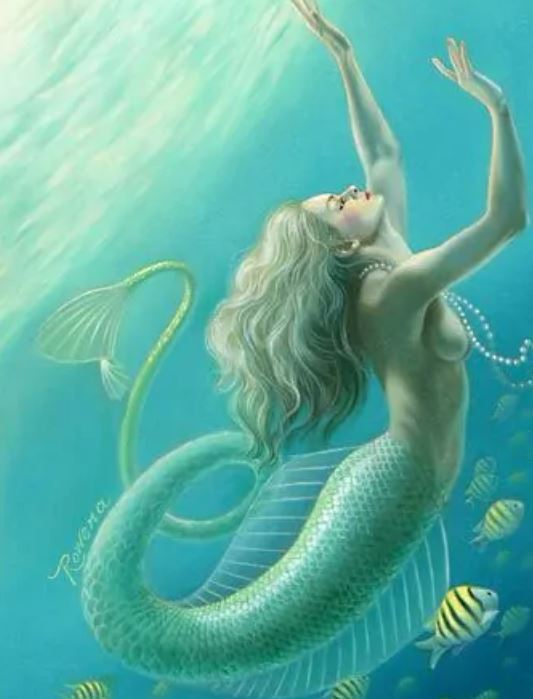 世界上有没有美人鱼,美人鱼学名儒艮(海洋生物)