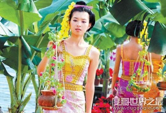 跳舞草视频,跳舞草为什么会跳舞(凄美传说花语)
