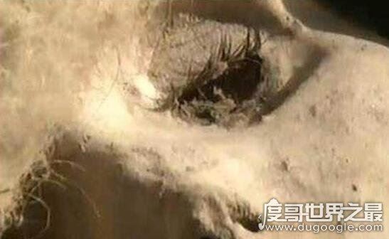 楼兰美女容貌复原图,千年女尸脸上浮现神秘微笑