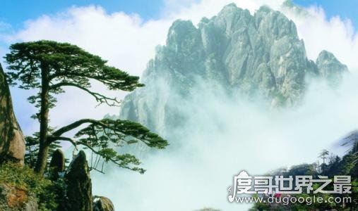皖是哪个省的简称,是安徽省的简称(省会城市合肥车牌号皖A)