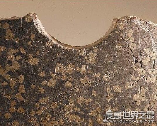 中国最早的文字，距今已有8000多年(比甲骨文还要早4000多年)