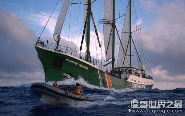 1996年发生的大事件有哪些？并不只是灾难年（有灾有喜）