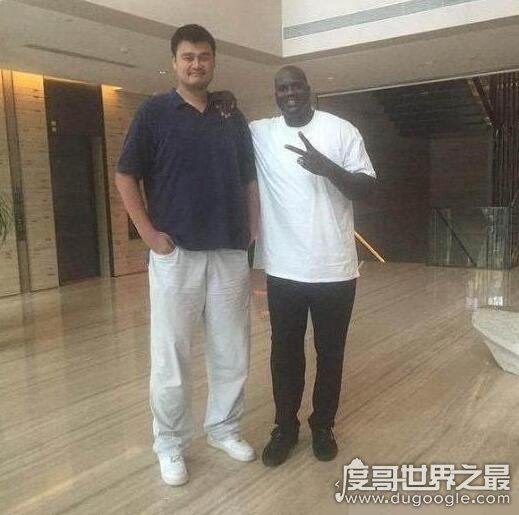 姚明有多高看图就明白，贡献远比身高更值得人尊敬(226cm)