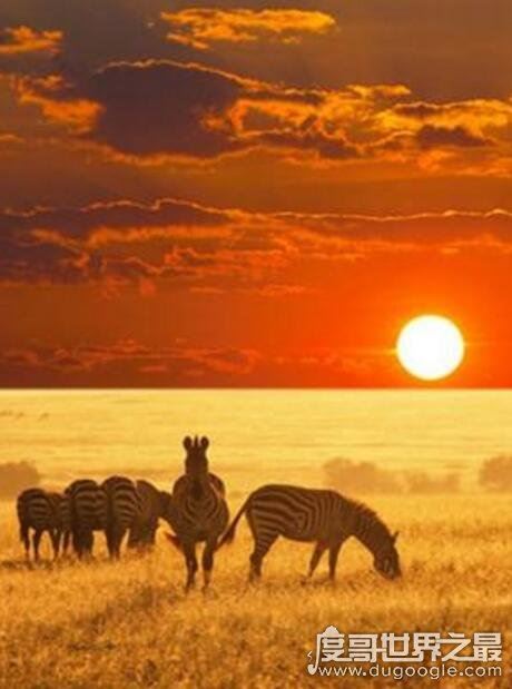 蒙汉情深何忍别天涯碧草话斜阳的意思，出自老舍《草原》