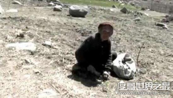 直击朝鲜人民的真实生活，严重的两极分化让70%人饿肚子