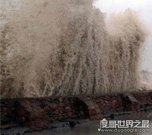 中国最强台风排名，泰培持续时间长达8天(造成2.5万人受灾)