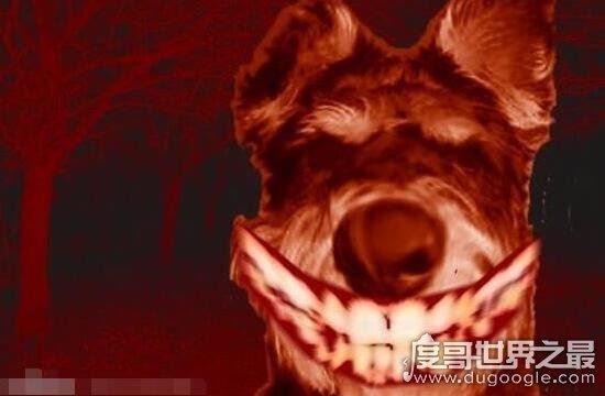 微笑狗恐怖图片什么原理,看一眼就会让人十分难受(smile.jpg)