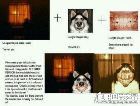 微笑狗恐怖图片什么原理，看一眼就会让人十分难受(smile.jpg)