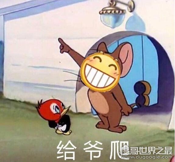 网上nt是什么意思梗，骂你是＂nao tan＂(一句骂人的话)