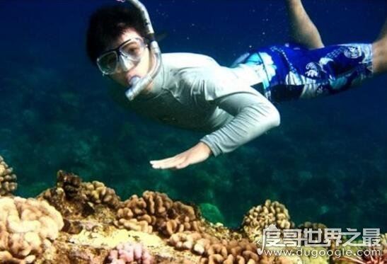 最强大脑魏坤琳老婆照片，高颜值学霸已领证结婚