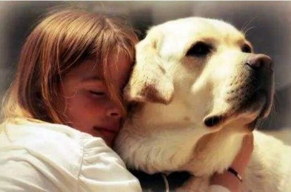 世界上寿命最长的狗活30年，狗的寿命平均在9-15岁间