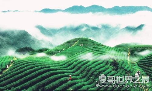 黔是哪个省的简称,就是贵州省的简称(省会贵阳车牌号为黔A)