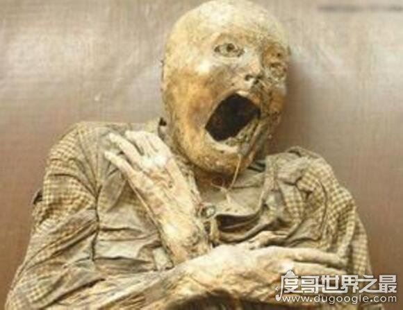 走进泰国恐怖博物馆，陈列着各种畸形变态的死尸(胆小勿进)