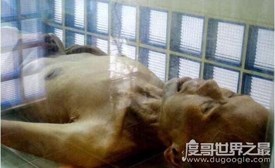 走进泰国恐怖博物馆，陈列着各种畸形变态的死尸(胆小勿进)