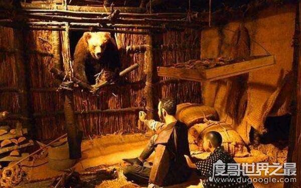 黑熊攻击人类，三毛别罴事件（令人胆战心惊的传闻）