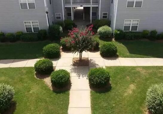 逼死强迫症头像大全，一根头发丝和99 未读消息