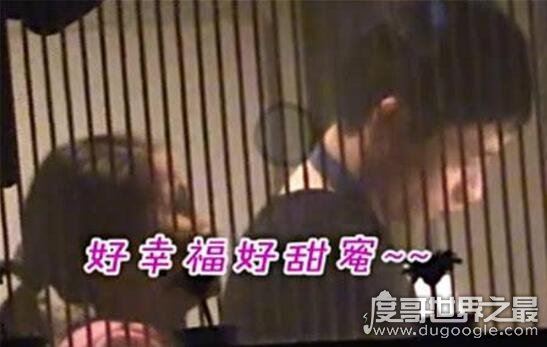 魏晨女朋友于玮照片,大学同学相恋九年准备结婚