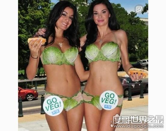 盘点世界上最疯狂的比基尼，可溶解比基尼(下水变裸奔)