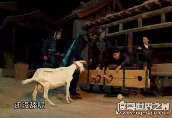 20大古代刑法盘点，人彘刑/凌迟刑看了让人头皮发麻(大全)