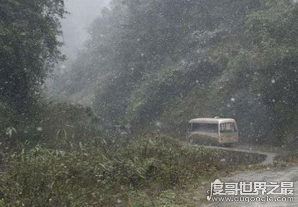 令人震惊的印度黑公交轮奸案,23岁女孩遭六人暴力轮奸致死