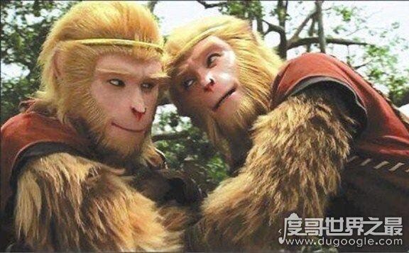 西游记真假美猴王是第几集，88版是续集第3集(浙版34/张纪中版36)