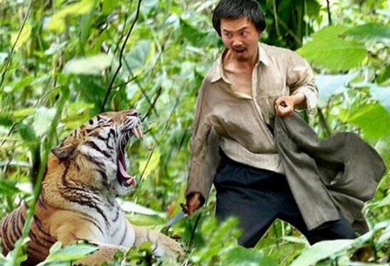 老虎吃人真实视频详情，男子醉酒落入虎园惨死