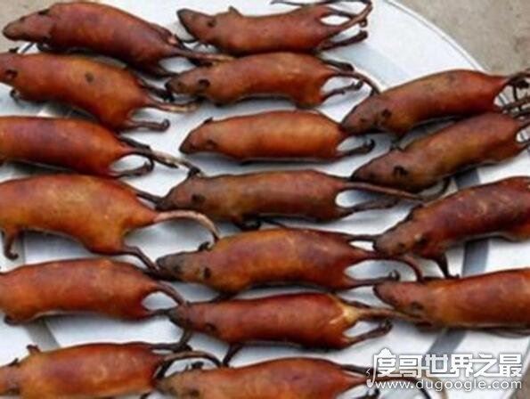 老鼠肉能吃吗,能吃而且好吃(附做法及注意事项)
